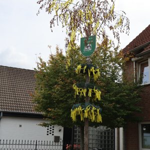 9T0A0631