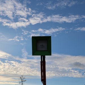 9T0A0706