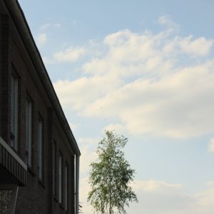 pem (9)